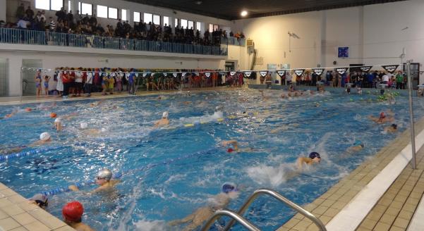 nuoto csi campania 3