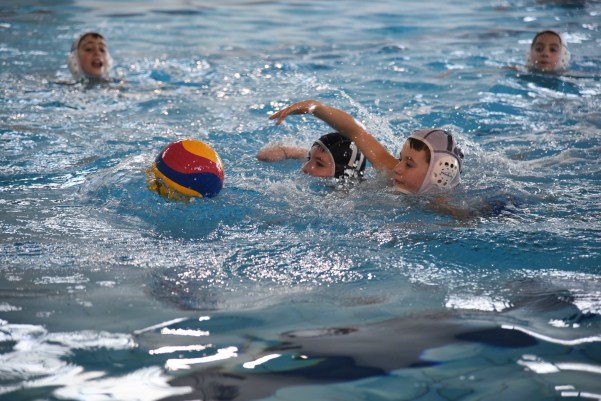 manifestazione piscina 5