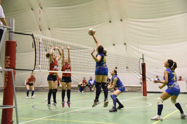 mercogliano volley 3